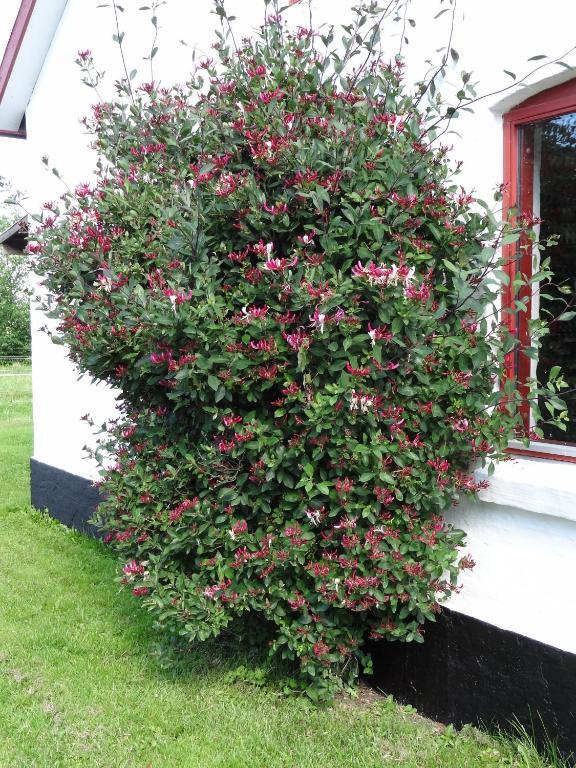 Sondergard Holiday House Uggerby Exterior foto